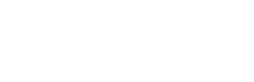 Suzi Q